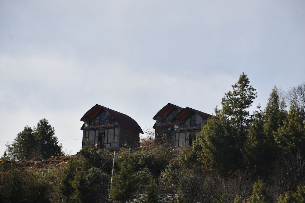 Wild Rupi in Kulu, India