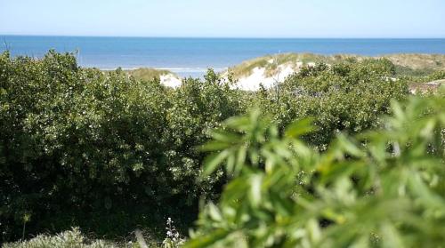 Mamoune — Le Touquet-Paris-Plage — photo 4