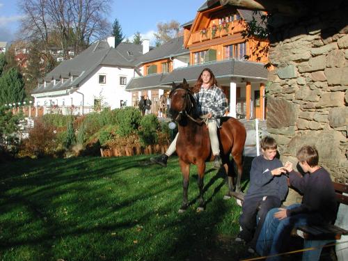 Hotel Zum Steinhauser — 4-Star Luxury Hotel in Sankt Kathrein Am Offenegg, Austria