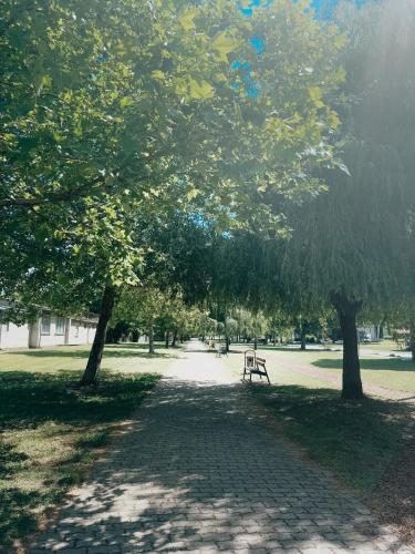 Sobri Halászcsárda és Panzió — Baja — photo 3