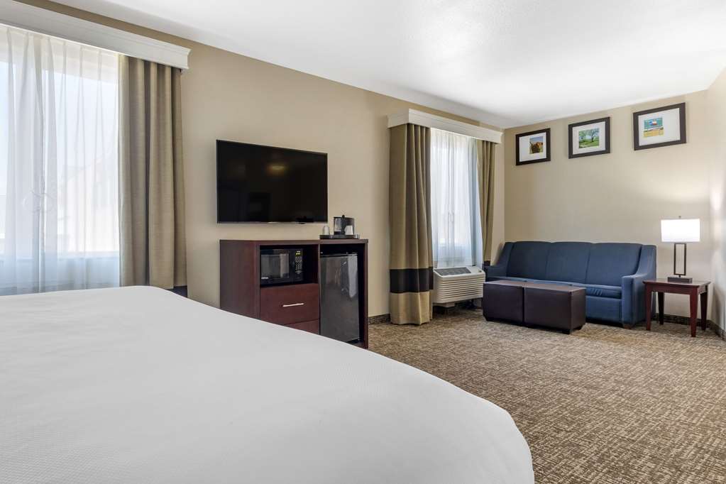 Comfort Suites Plano Dallas North - photo 8