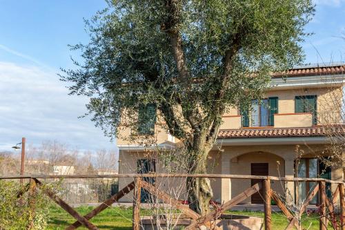 La Merlana affittacamere pet-friendly hotel Morrovalle