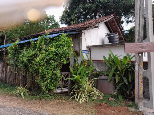 Pearl View - last minute hotel in Tangalle