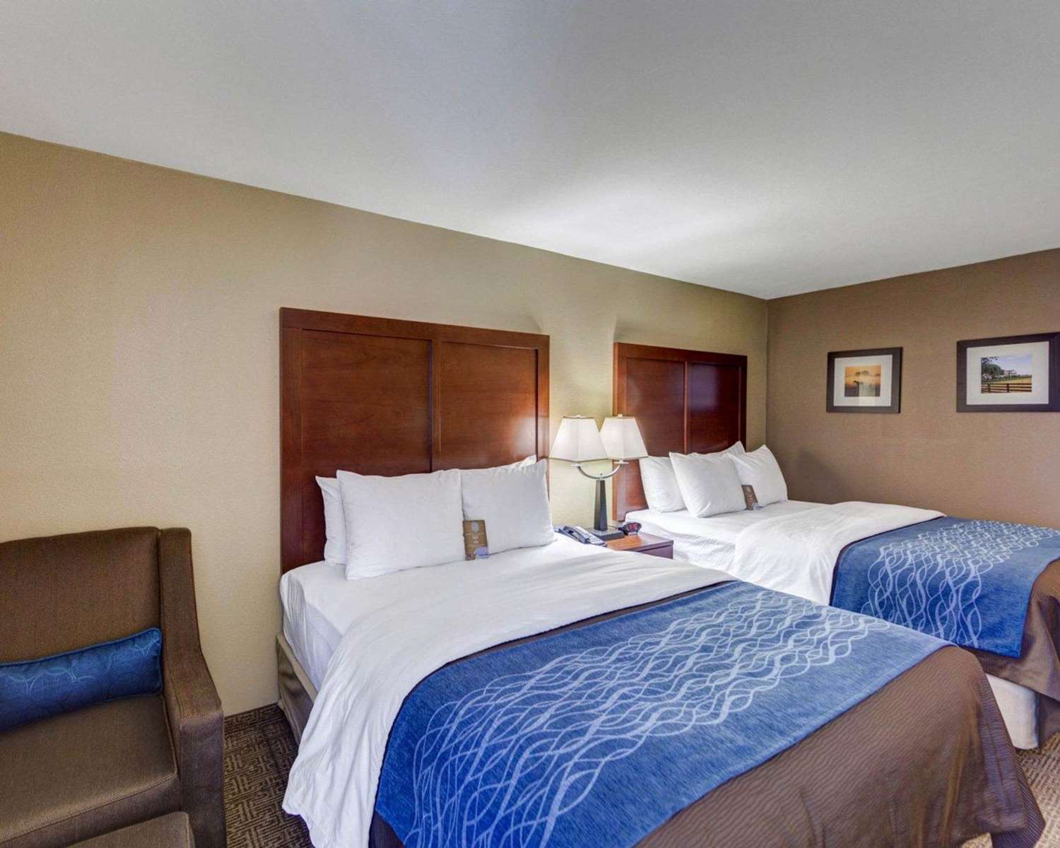 Comfort Inn and Suites Plano East - photo 6