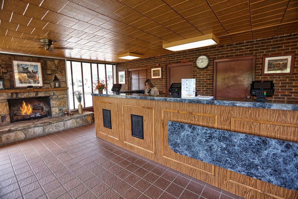 Wild Bear Inn - photo 4