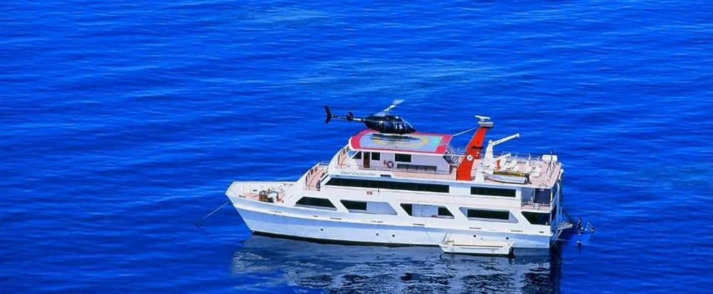 Reef Encounter in Cairns, Australia
