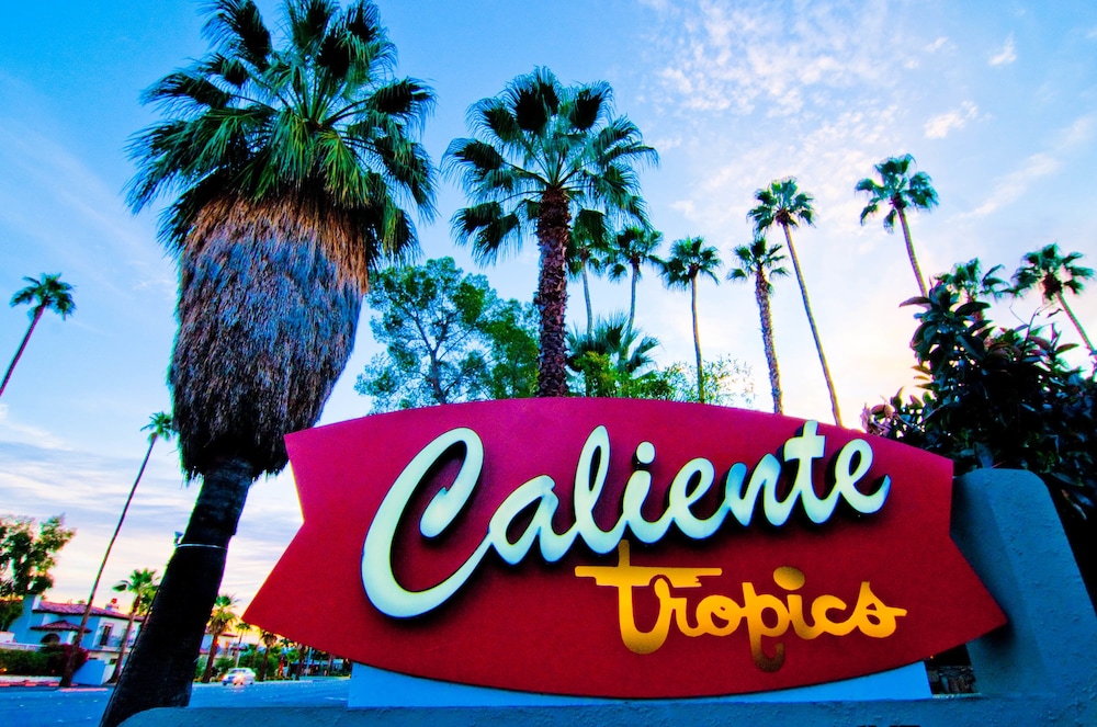 Caliente Tropics Hotel - photo 95