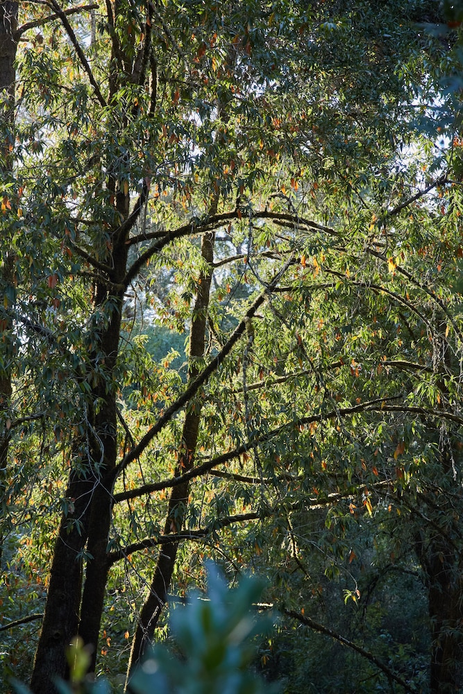 Mine and Farm The Inn at Guerneville CA - photo 29