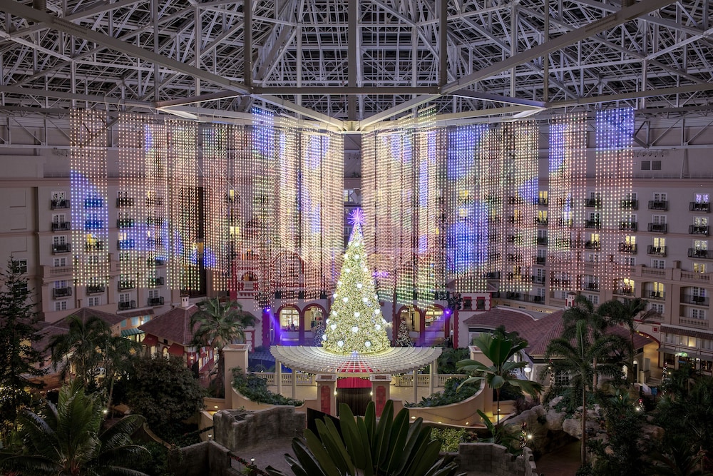 Gaylord Palms Resort & Convention Center - photo 93
