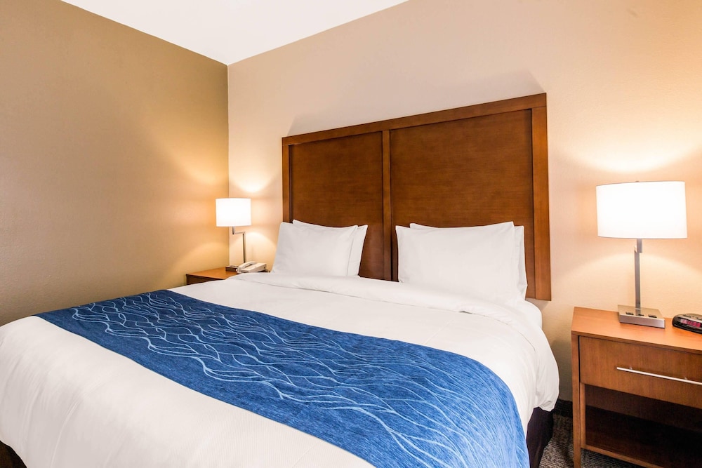 Comfort Inn & Suites IAH Bush Airport East - photo 14