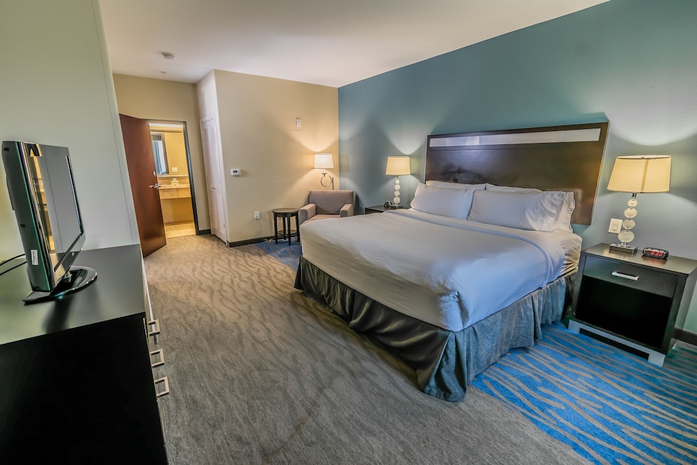 Holiday Inn Houston Webster by IHG - photo 16