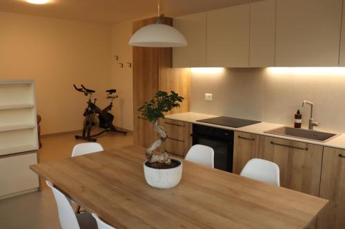 Domus Aurus Family — 4-Star Luxury Hotel in Bardolino, Italy
