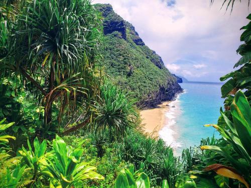 Poipu Ohana Vista — Koloa — photo 5