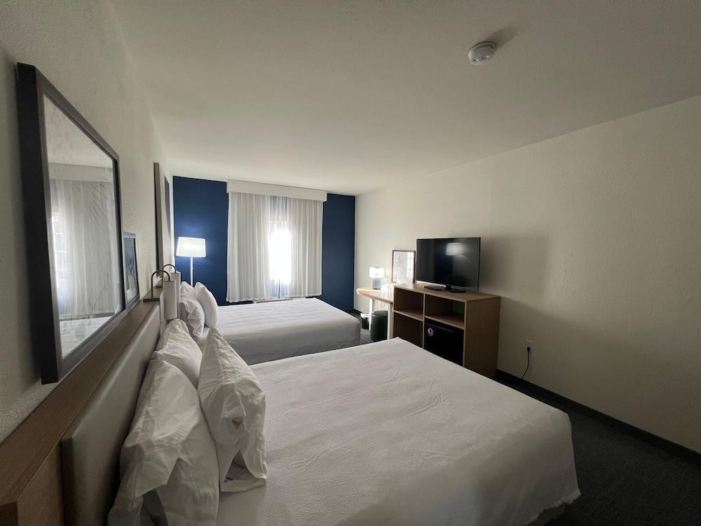 Spark by Hilton Glendale Phoenix North - photo 8