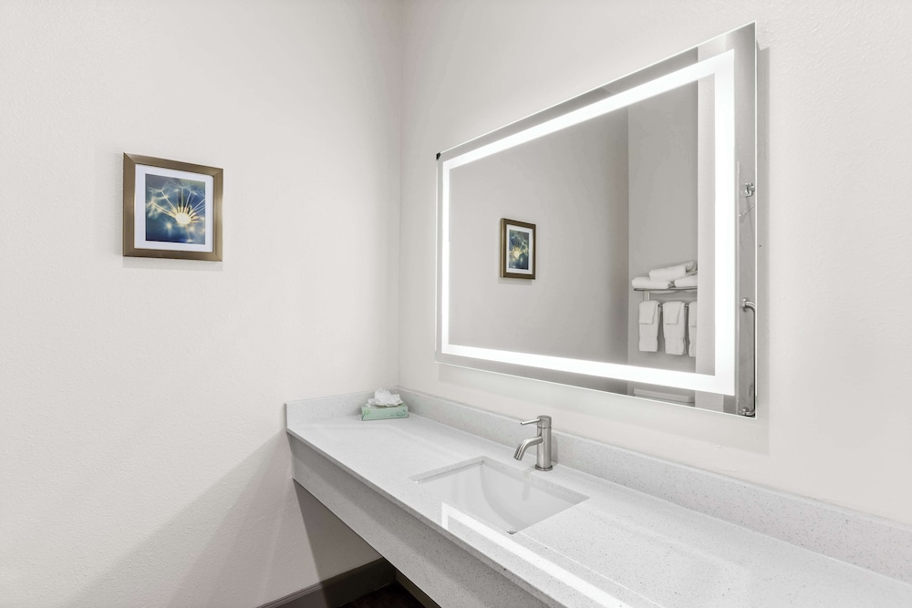 Quality Inn & Suites La Porte - photo 14