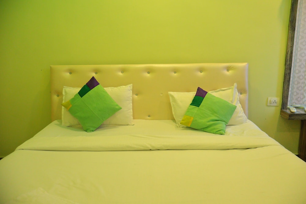 Green Valley Palace — Bhopal — photo 5