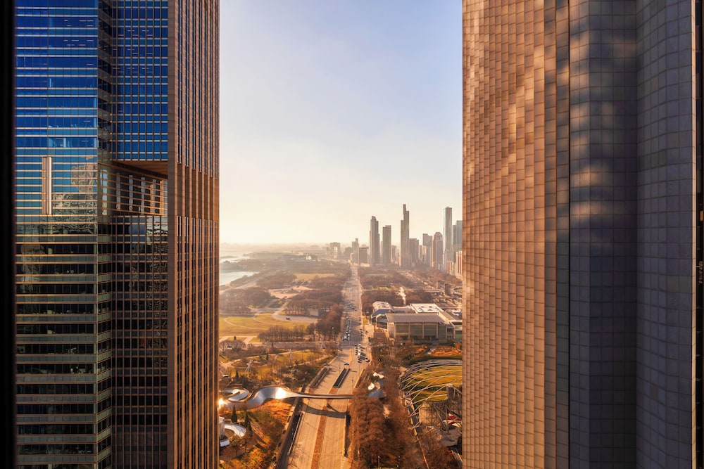 Fairmont Chicago at Millennium Park - photo 13