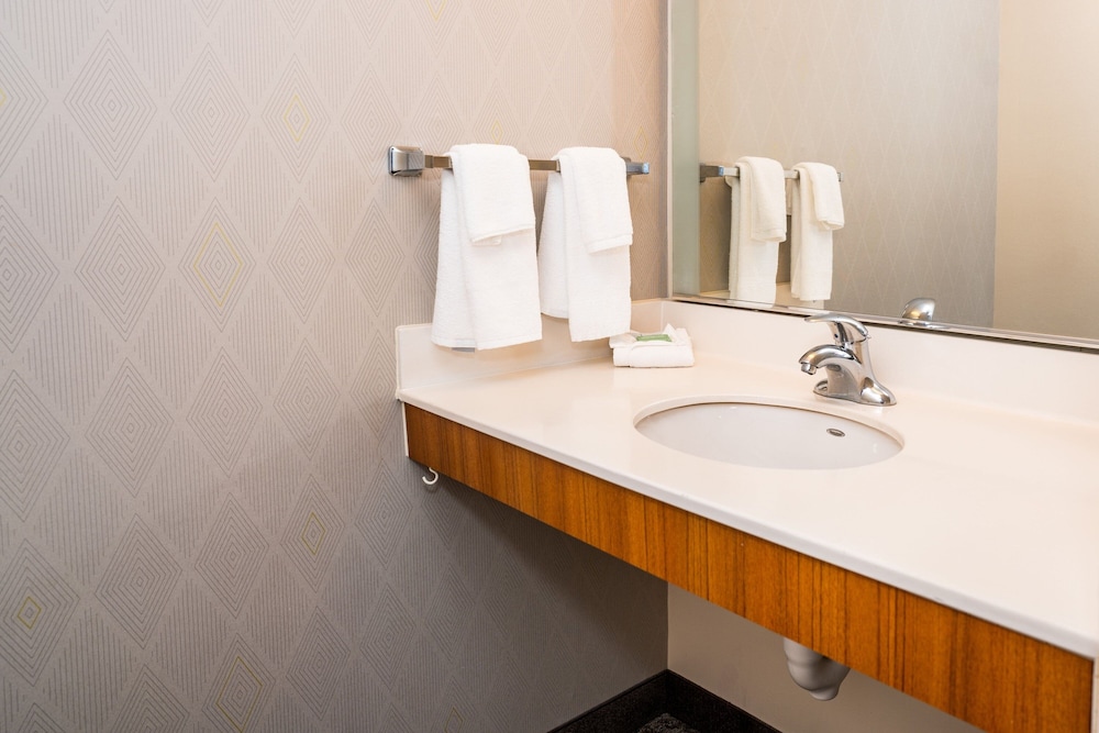 SpringHill Suites by Marriott San Antonio Alamo Plaza Convention Center - photo 8