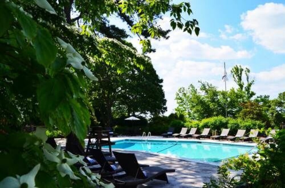 The Hampton Maid - photo 25