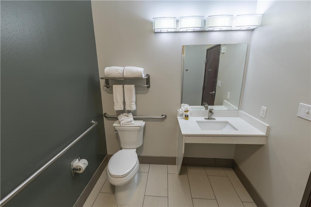 Best Western Plus Duncanville Dallas - photo 13