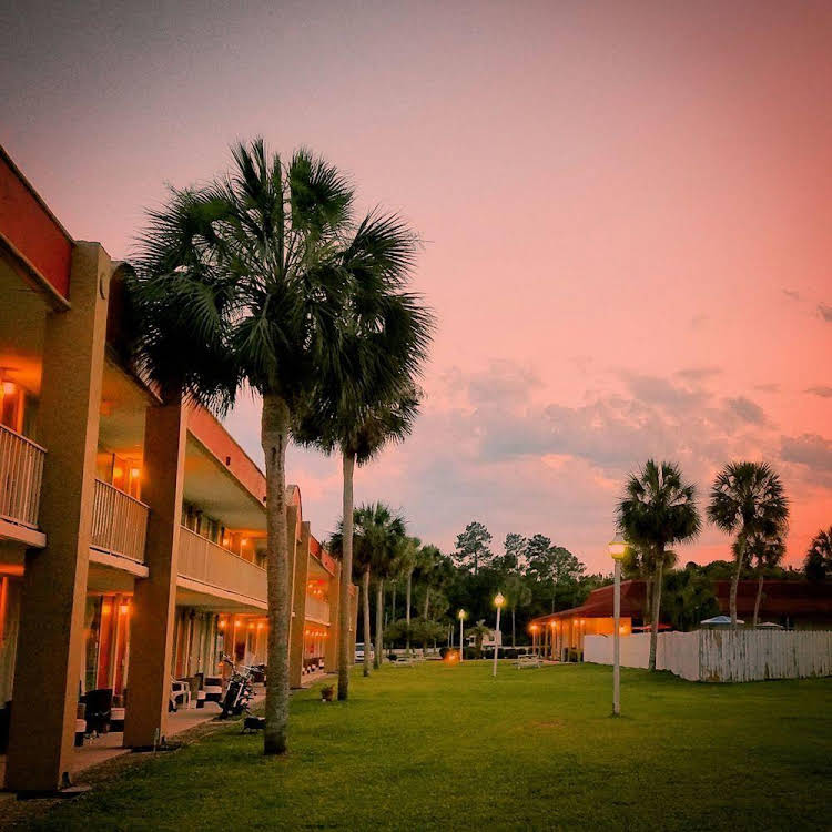 Florida Hotel - photo 15