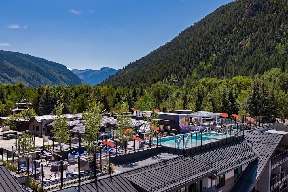 The Sky Residences at W Aspen - photo 27