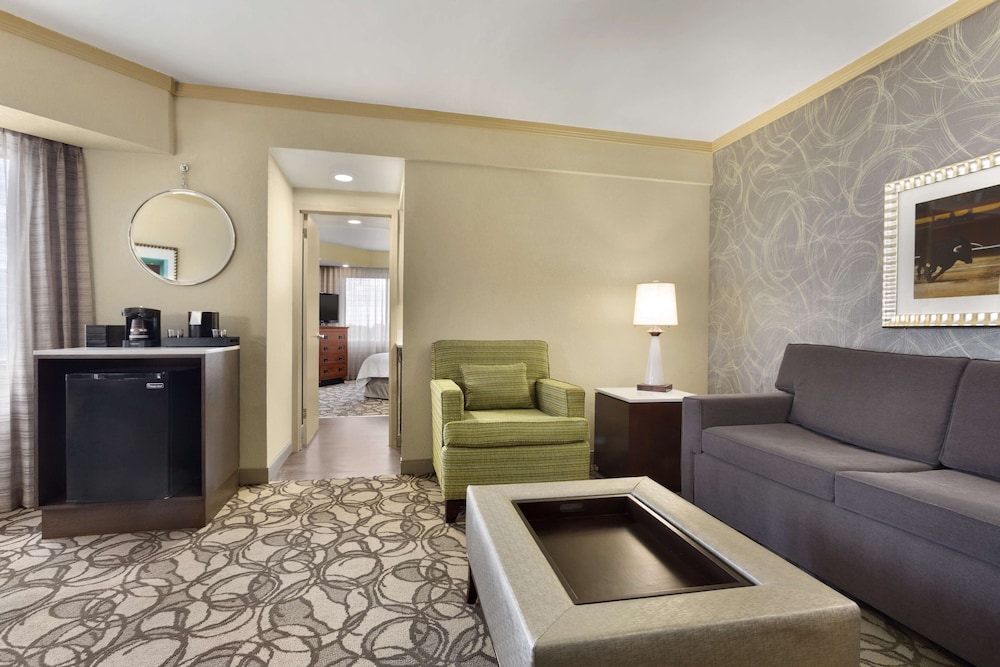 Embassy Suites by Hilton San Antonio Airport - photo 26