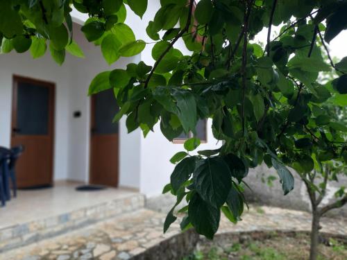 Elian Rooms - last minute hotel in Vlore