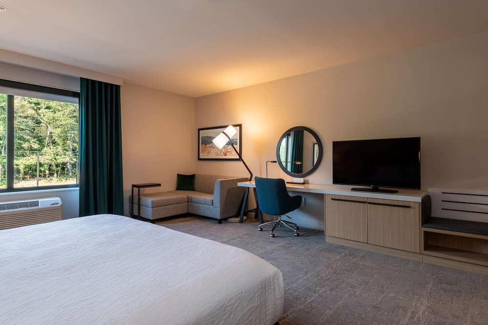 Hilton Garden Inn Boston Canton - photo 13