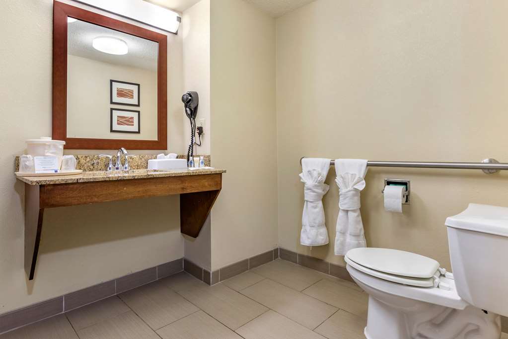 Comfort Inn Blythewood North Columbia - photo 8