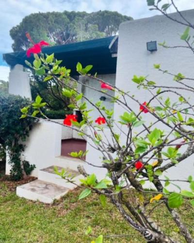 V3 Vilamoura Centro in Quarteira, Portugal