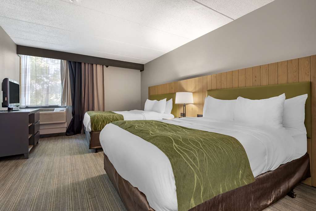Comfort Inn & Suites Liverpool Syracuse North - photo 20