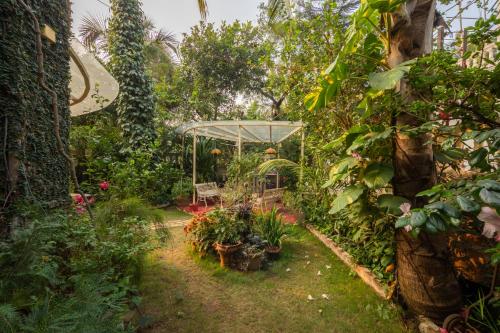 SaffronStays Birdsong 3BR pet friendly villa with lawns treetop terraces gazebo dining & tennis court