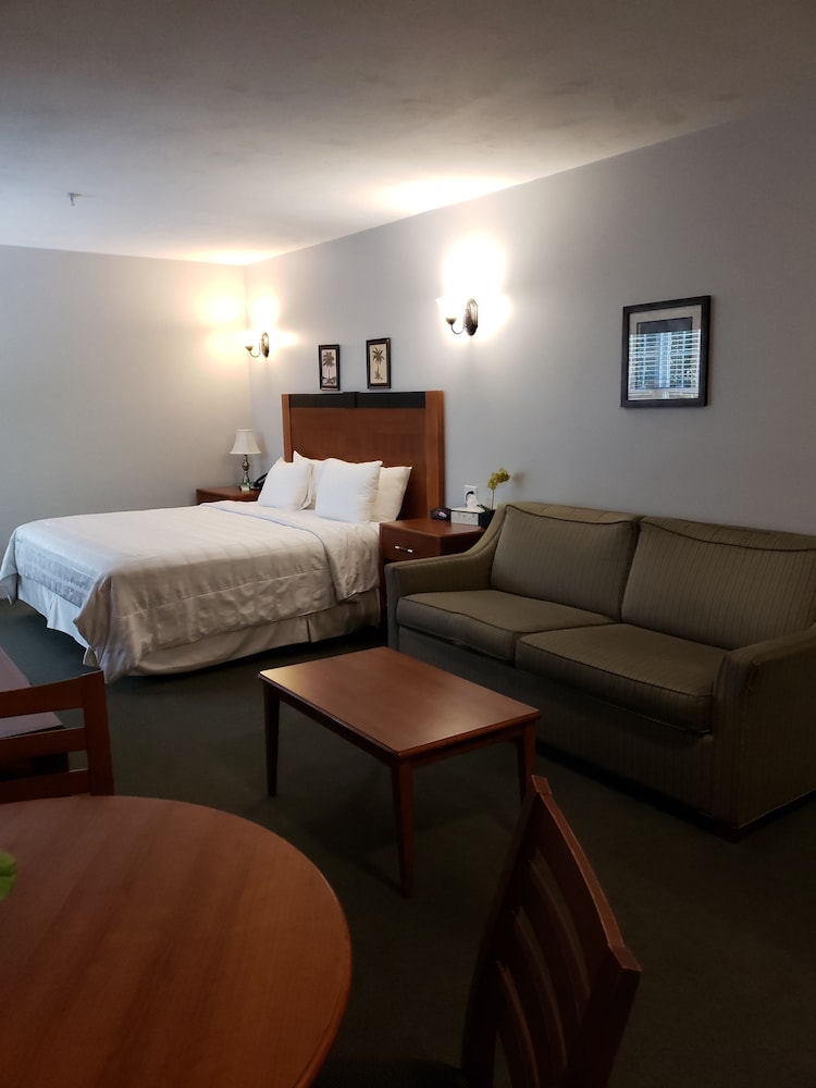 Crescent Suites Hotel - photo 15
