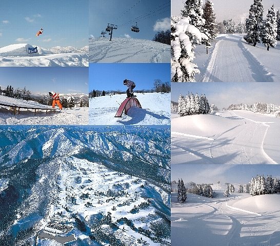Shiratori Kogen Hotel — Sekimachi
