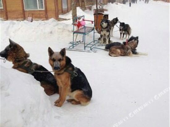 Yangcheng Family Hotel Xuexiang Erlanghe in Hailin, People's Republic of China