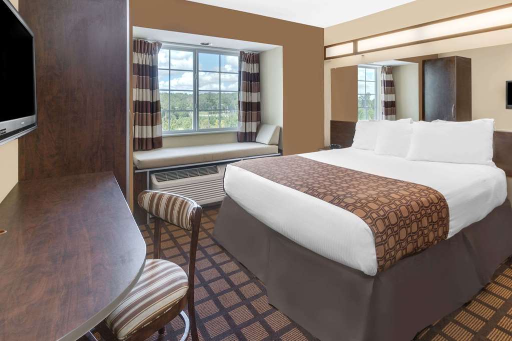 Microtel Inn & Suites by Wyndham Ozark - photo 6