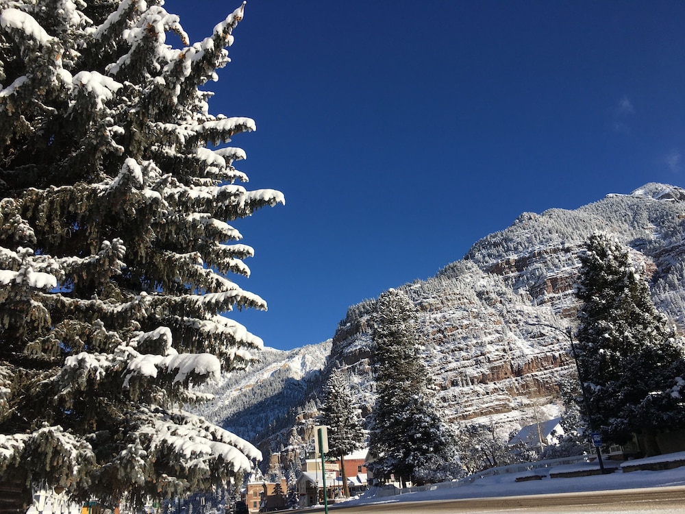 Ouray Main Street Inn - photo 149