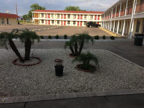 Alice Motor Inn - photo 8