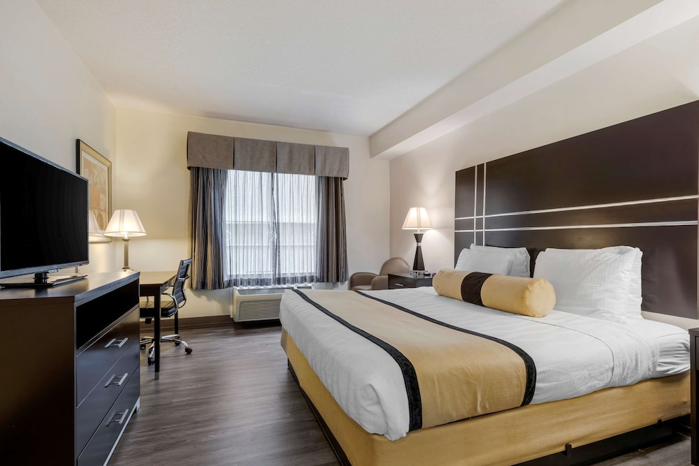 Best Western Plus Rockwall Inn & Suites - photo 4