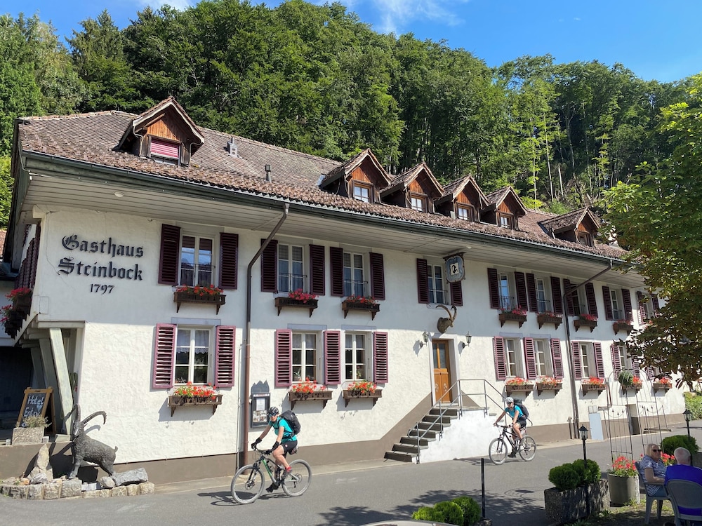 Historic Hotel Steinbock — hotel in Wilderswil