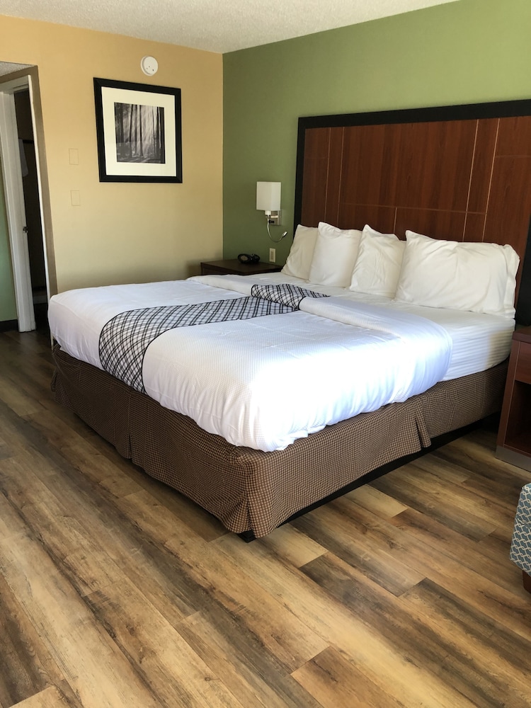 Knight's Inn Motel - photo 15