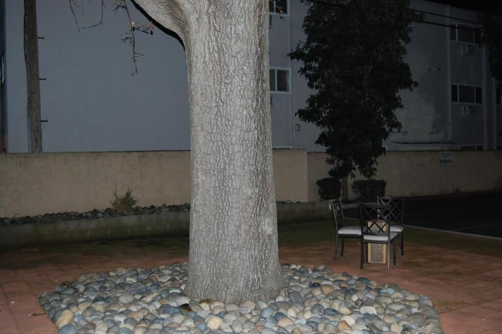 Pleasant Hill Inn - photo 21