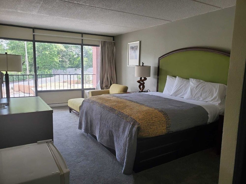 Palmetto Inn & Suites - photo 13