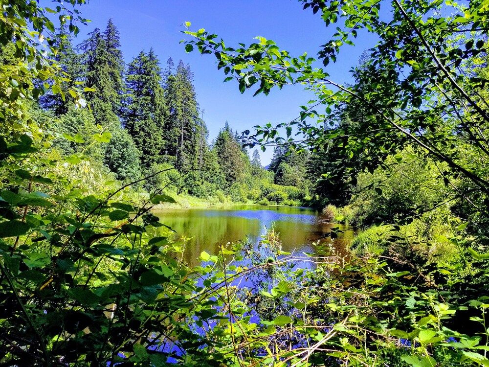 Mt. Hood Village RV Resort - photo 19