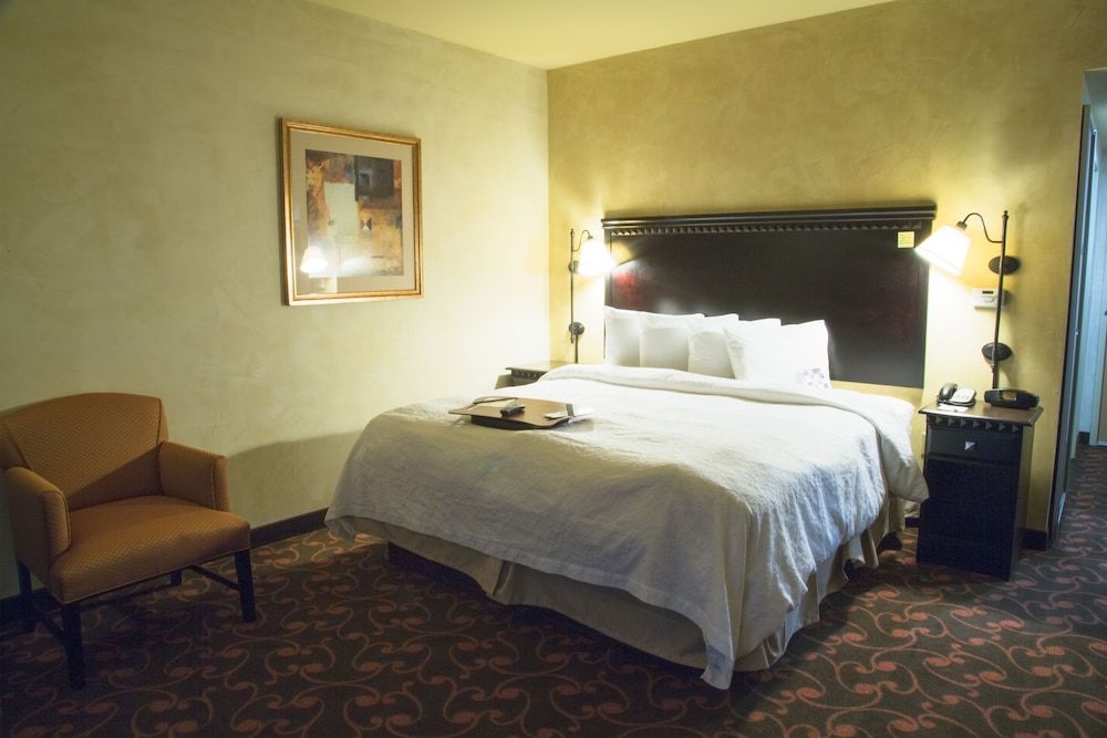 Hampton Inn & Suites Dallas Arlington N Entertainment Dist. - photo 4