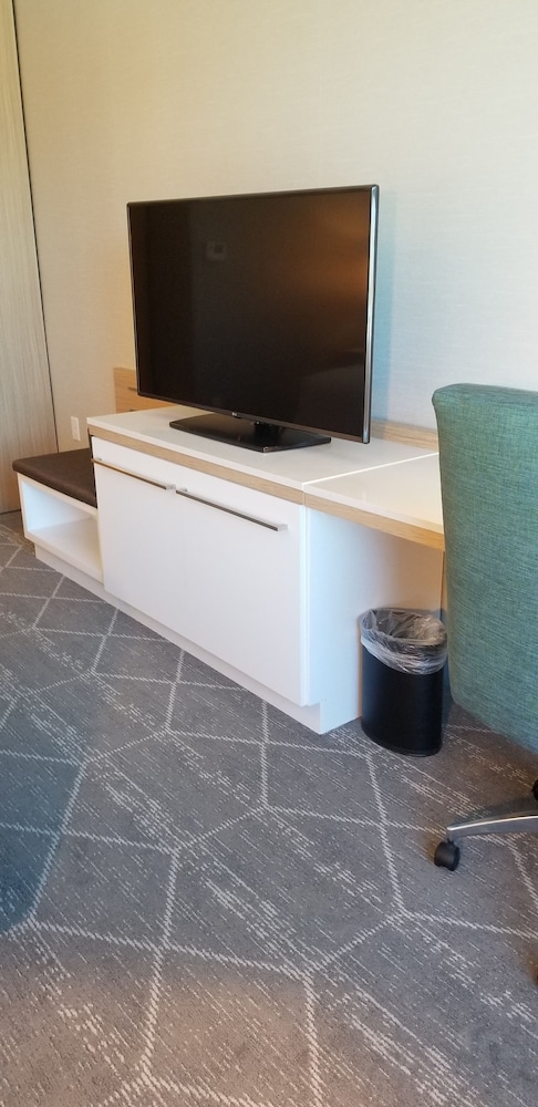 Hilton Garden Inn Colorado Springs Downtown - photo 68