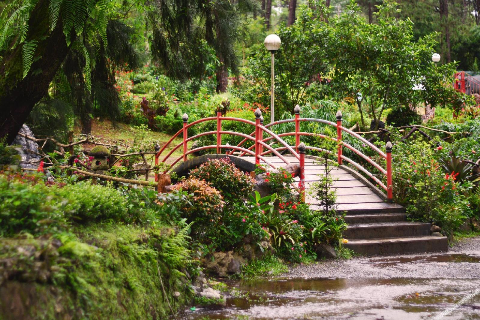 Giraffe Boutique Hotel — Baguio — photo 4