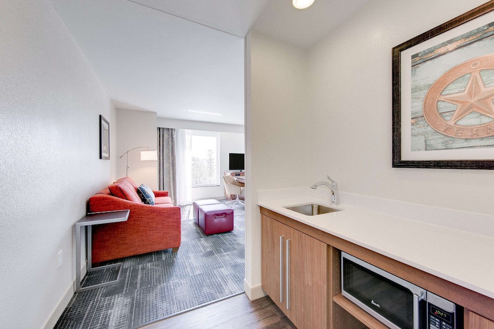 Hampton Inn & Suites North Houston Spring - photo 11