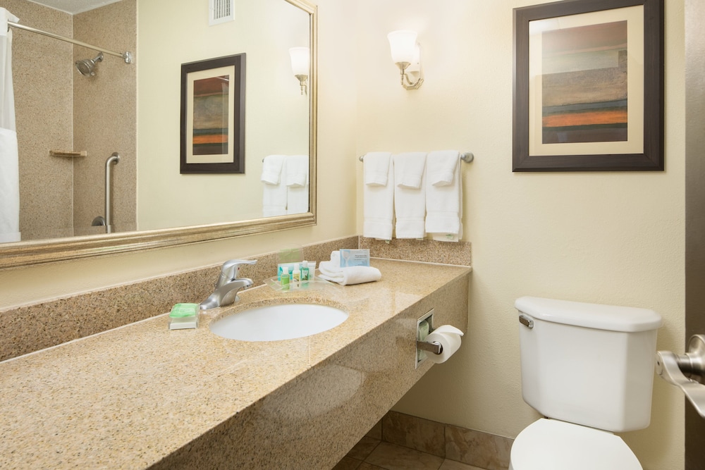 Holiday Inn Hotel & Suites Charleston West by IHG - photo 30